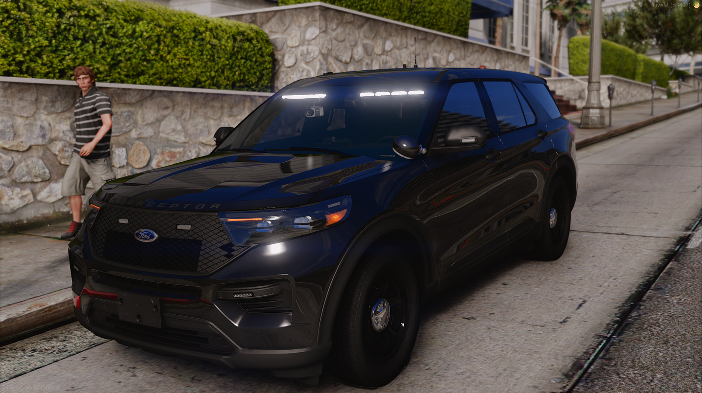 Nforce 2020 FPIU