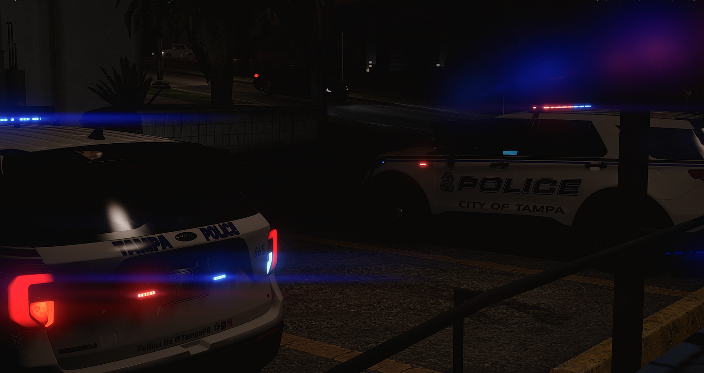 TPD 2020 FPIU