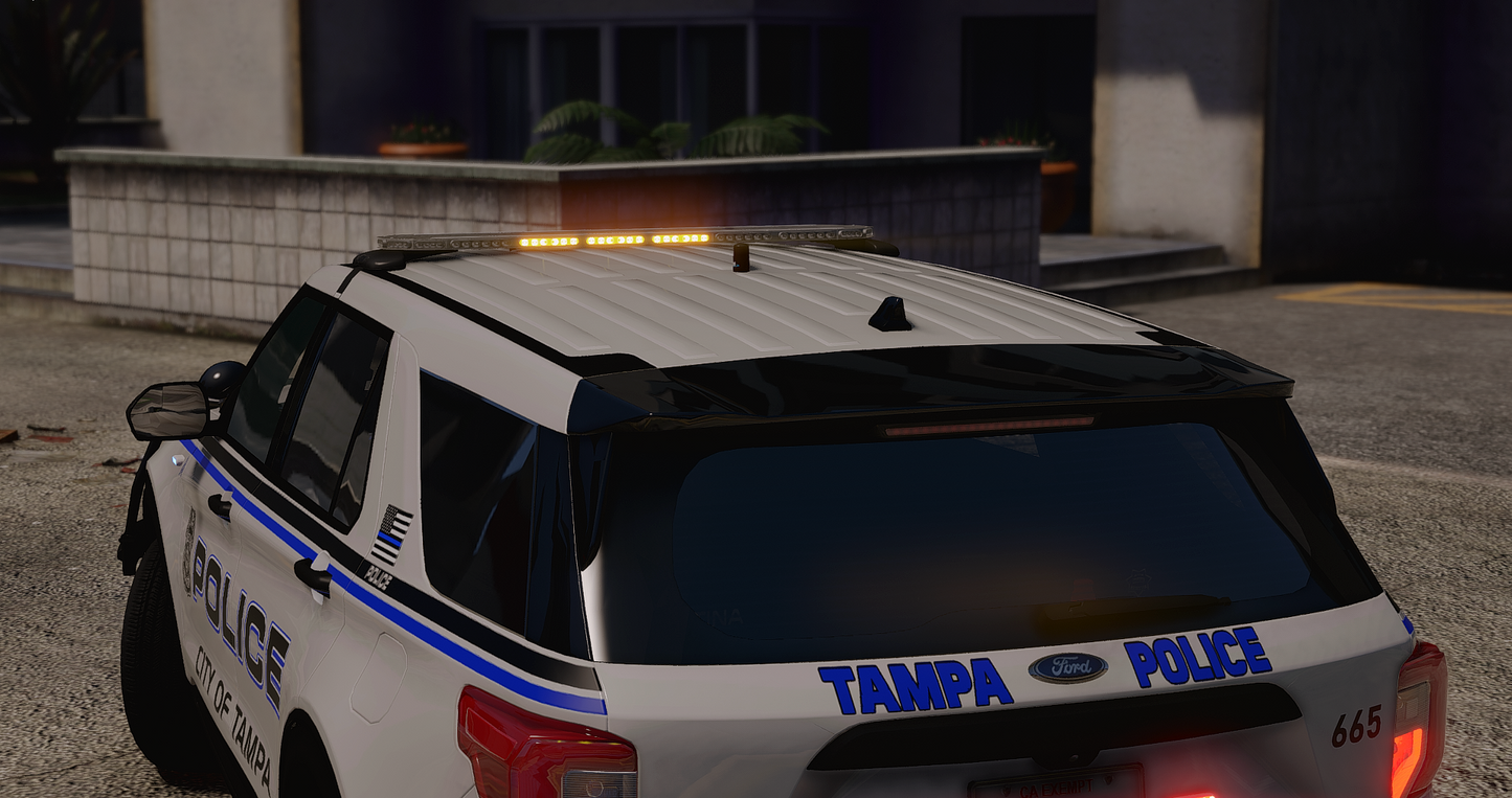 TPD 2020 FPIU
