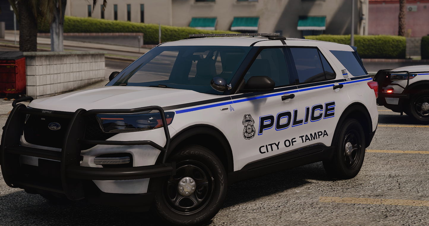 TPD 2020 FPIU