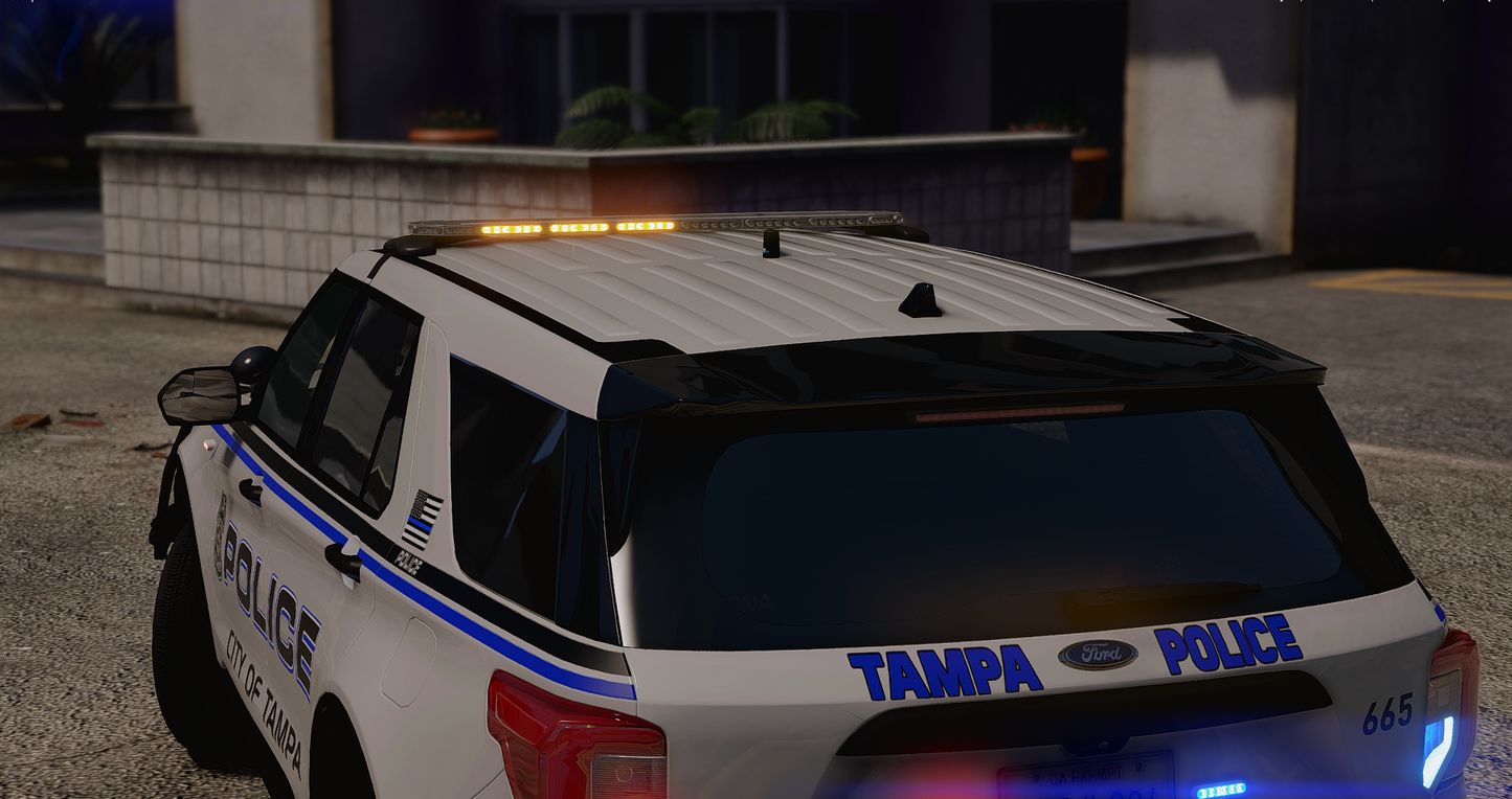 TPD 2020 FPIU