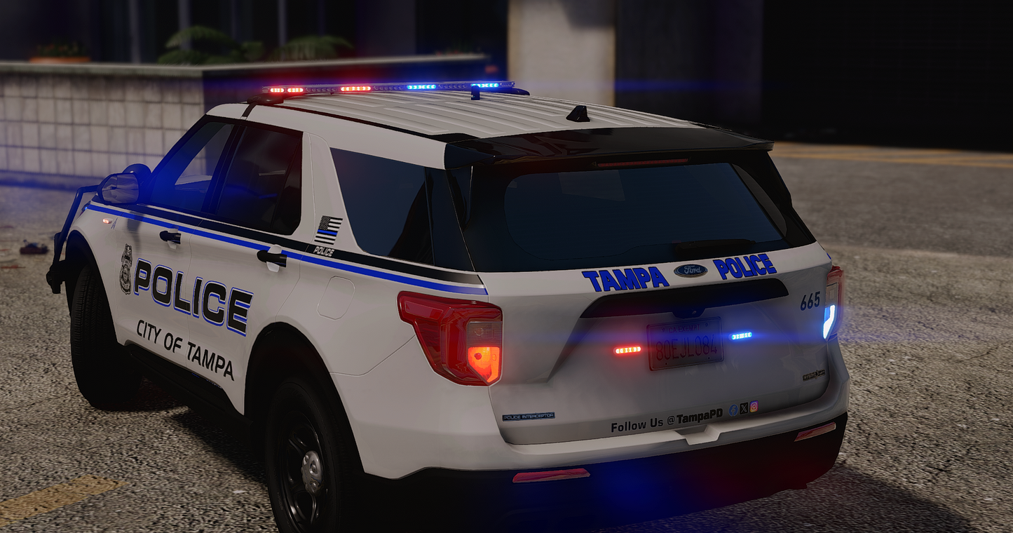 TPD 2020 FPIU
