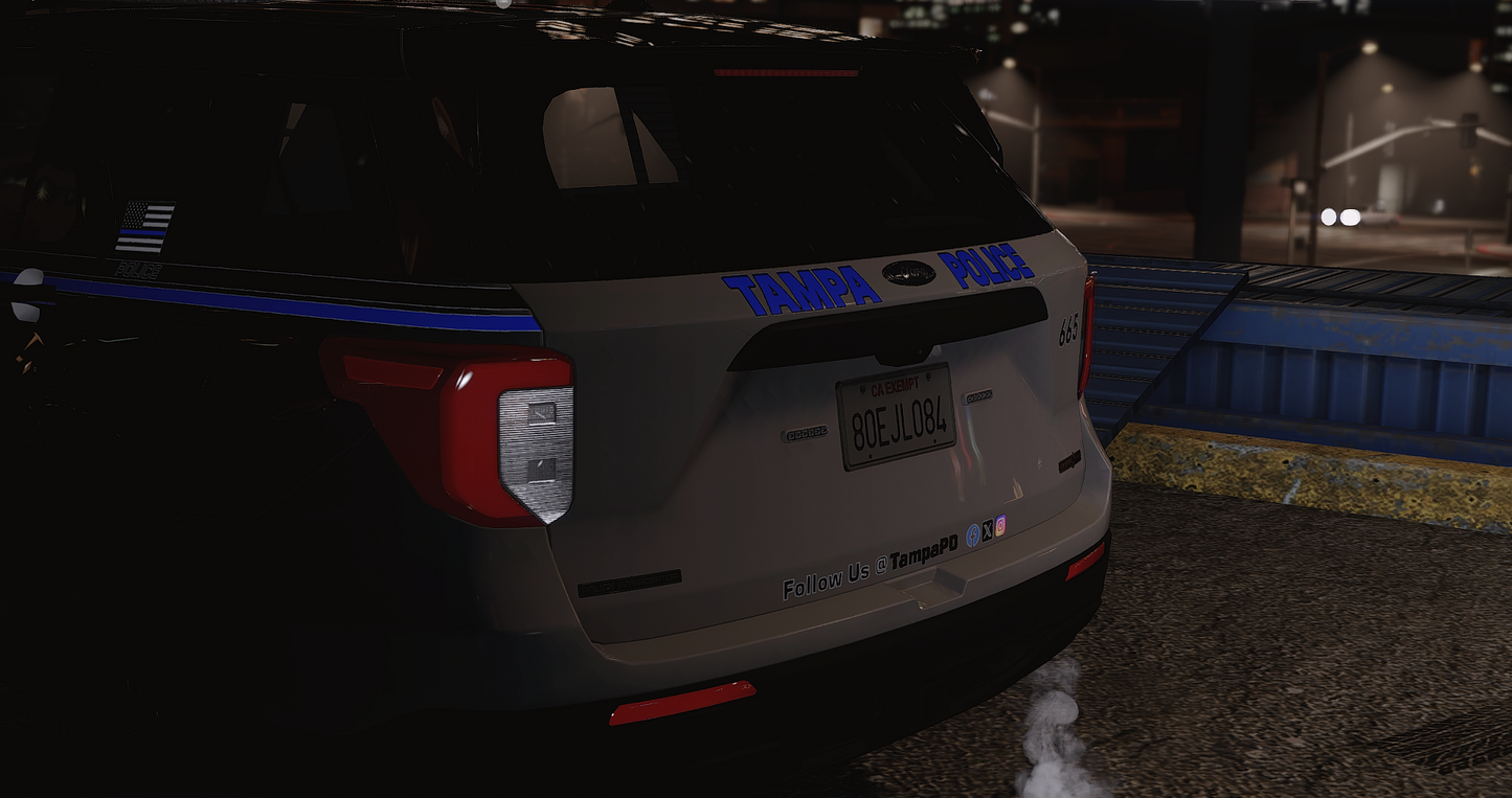 TPD 2020 FPIU