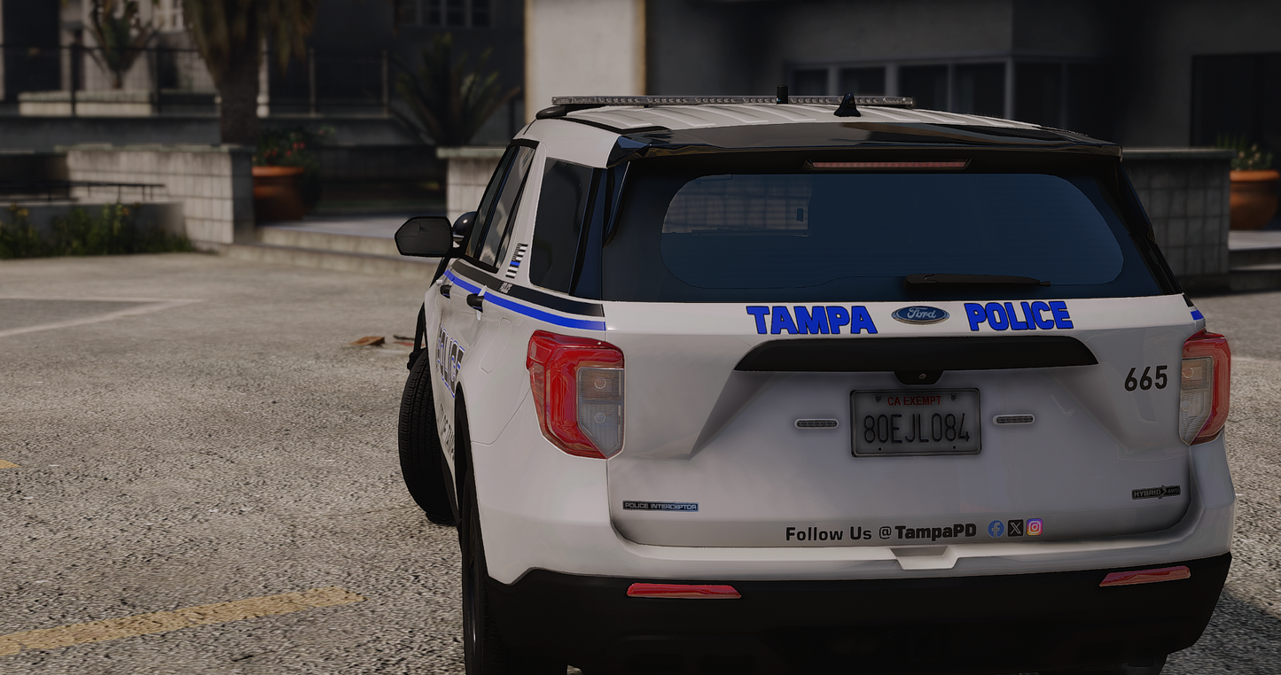 TPD 2020 FPIU