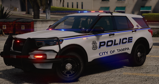 TPD 2020 FPIU